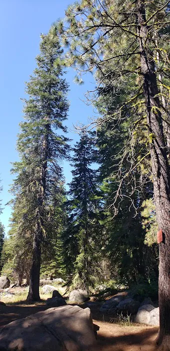 Silver Fork Ranch Picture 8