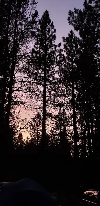 Silver Fork Ranch Picture 4