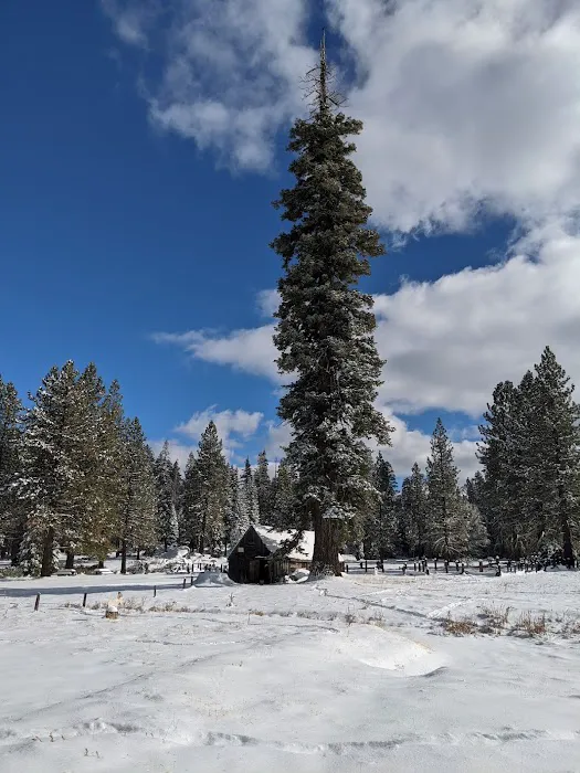 Silver Fork Ranch Picture 9