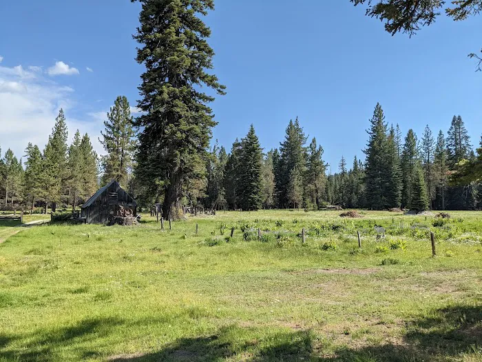 Silver Fork Ranch Picture 3