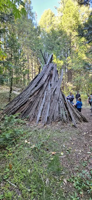 Scout Hill Group Campsite Picture 2