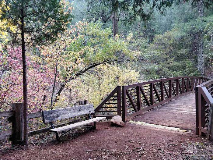 Hazel Meadow Picture 3