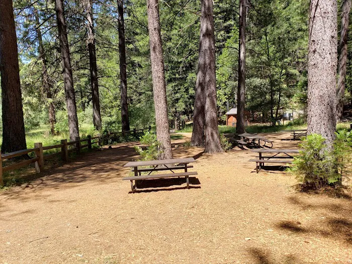 Hazel Meadow Picture 10