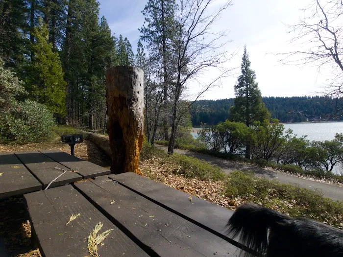 Pinecone Area Picture 4