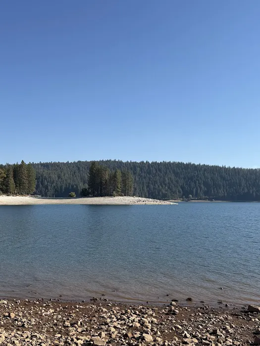 Pinecone Area Picture 7