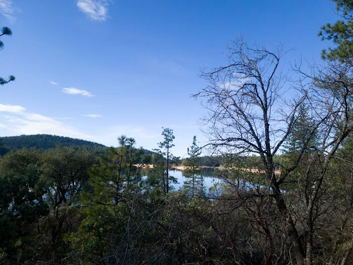 Pinecone Area Picture 5