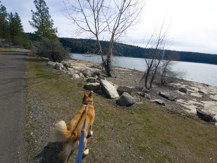 Pinecone Area Picture 10