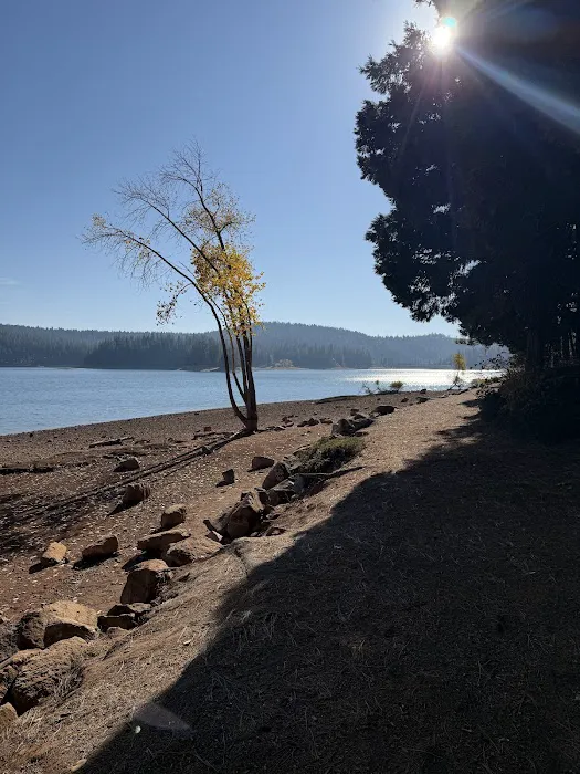 Pinecone Area Picture 1