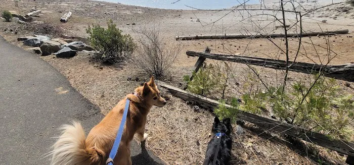 Pinecone Area Picture 6