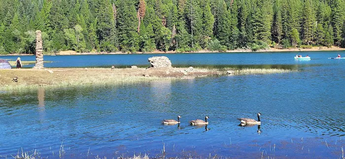 Sierra Area Picture 9