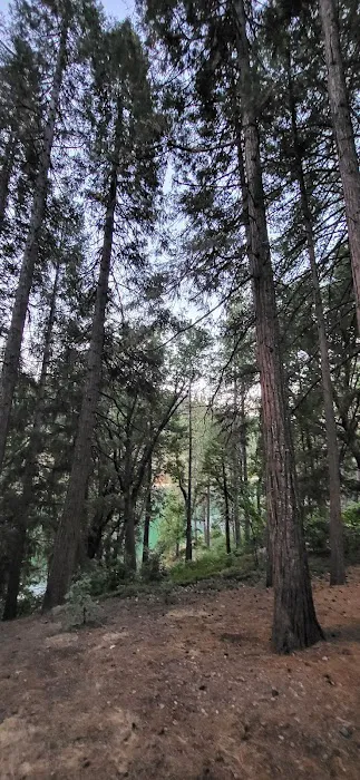 Sierra Area Picture 2