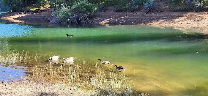 Sierra Area Picture 4
