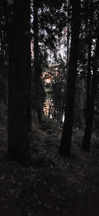 Sierra Area Picture 7