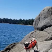 Northwind Campground ico