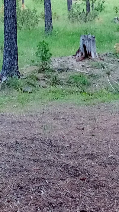 Northwind Campground Picture 7