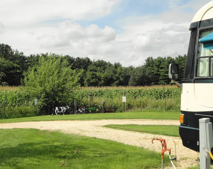 Lil' Bit of Country RV Park Picture 9