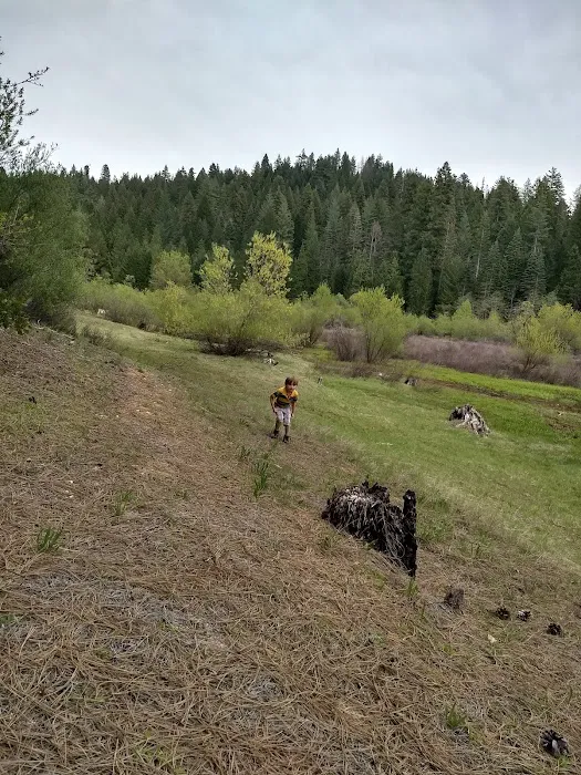 Strawberry Point Campground Picture 1