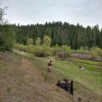 Strawberry Point Campground ico