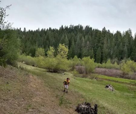 Strawberry Point Campground