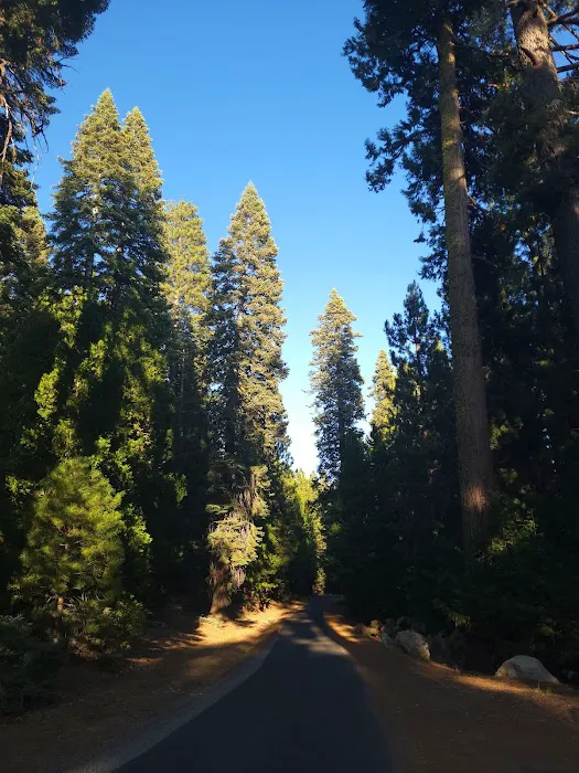 Strawberry Point Campground Picture 7