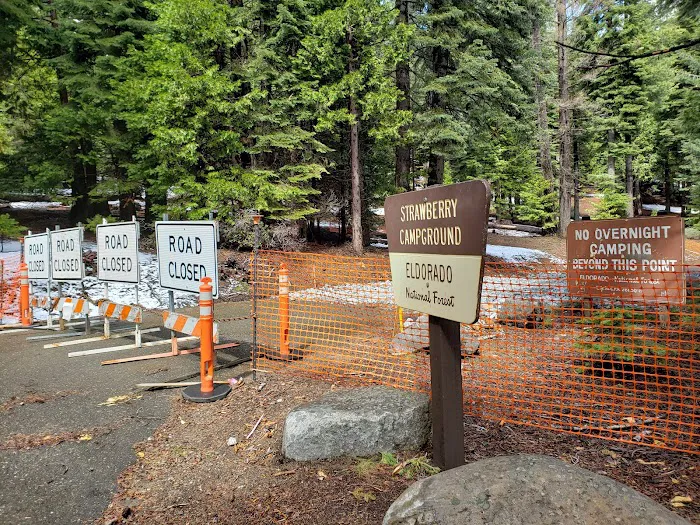 Strawberry Point Campground Picture 8