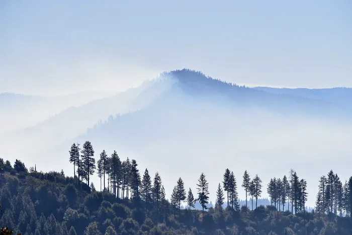 Ice House Resort Picture 1