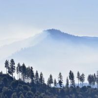 Ice House Resort ico