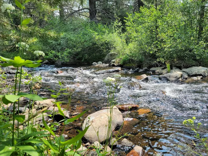 Ice House Resort Picture 3