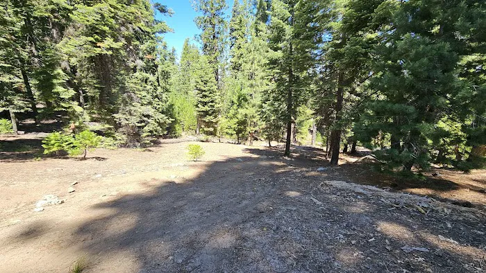 Ice House Resort Picture 4