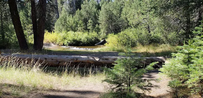 Silver Creek Group Campground Picture 6