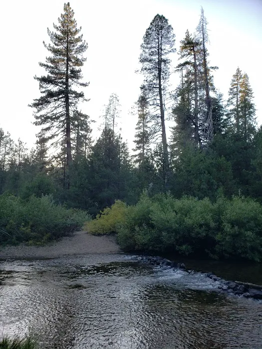 Silver Creek Group Campground Picture 5