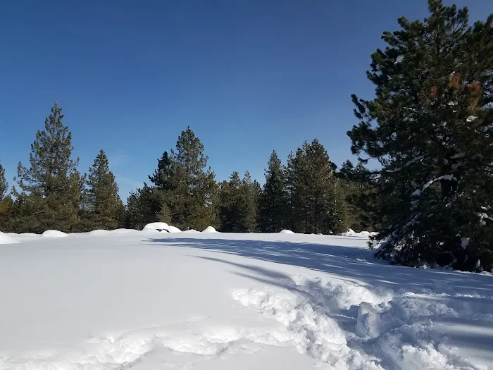 Silver Creek Group Campground Picture 2