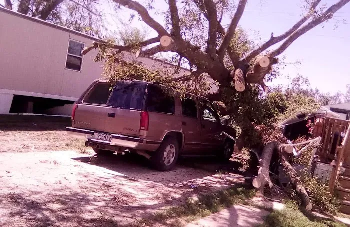 Timber Ridge Picture 1