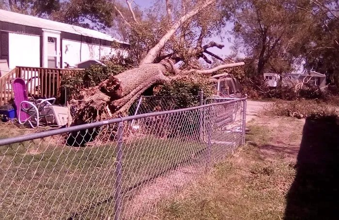 Timber Ridge Picture 2