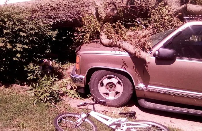 Timber Ridge Picture 3