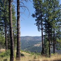 Sugarloaf Christian Camp ico