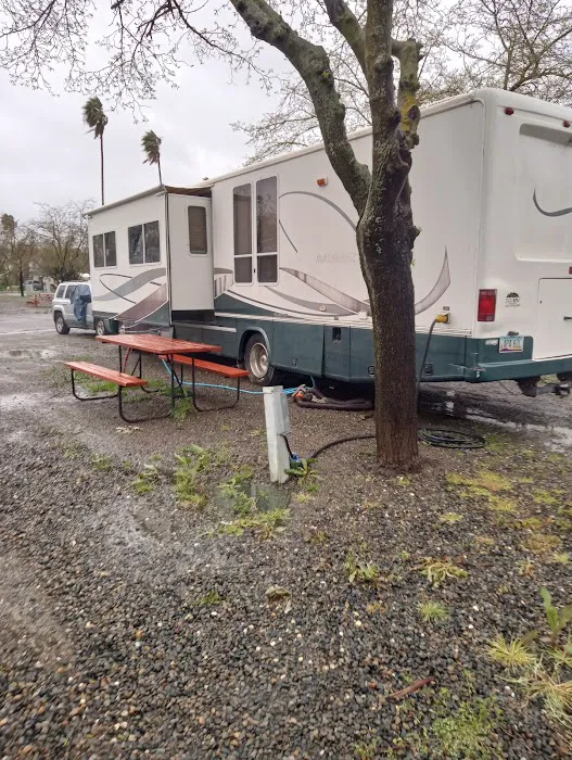 Yolo County Fairgrounds RV Park Picture 2