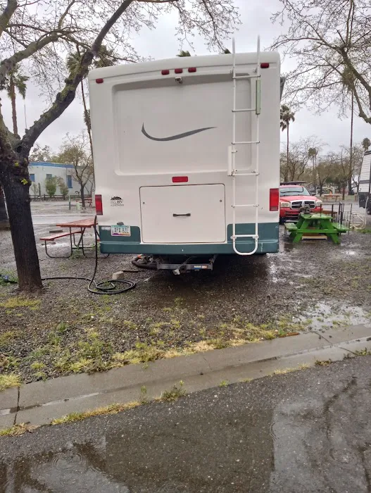 Yolo County Fairgrounds RV Park Picture 3