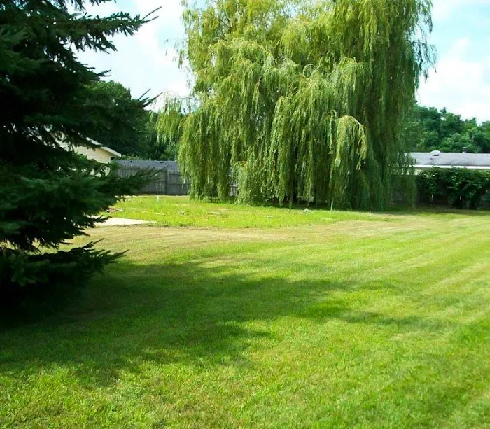 Berry Ridge Mobile Home Park Picture 2