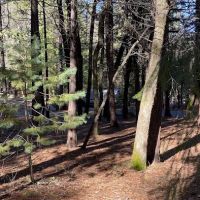 Indian Grinding Rock Campground ico