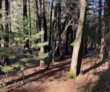 Indian Grinding Rock Campground