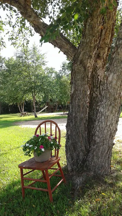 Buck's Crossing RV Sales & Resort Picture 3