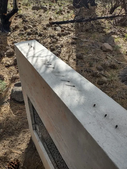 Centerville Flat Campground Picture 6