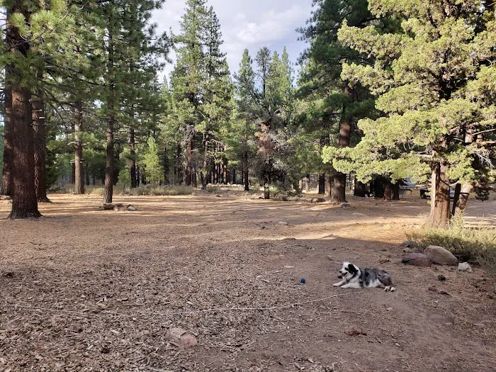Centerville Flat Campground Picture 5