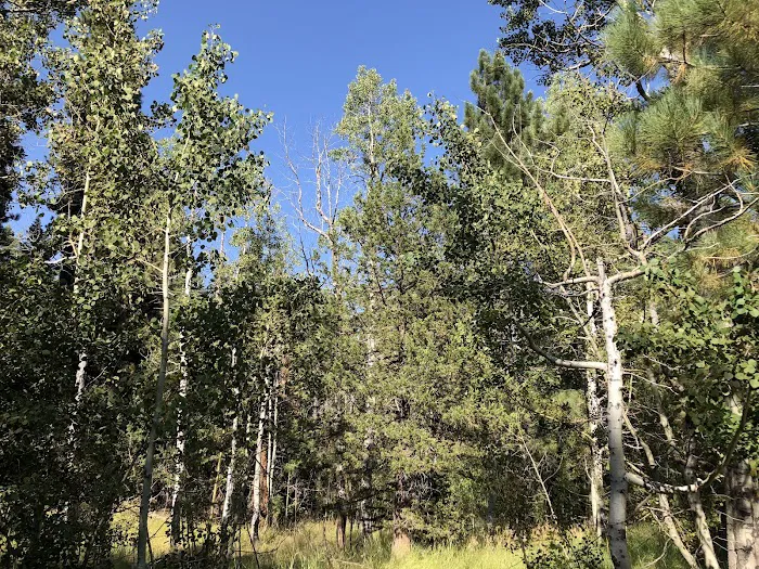 Silver Creek Campground Picture 10