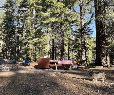 Silver Creek Campground