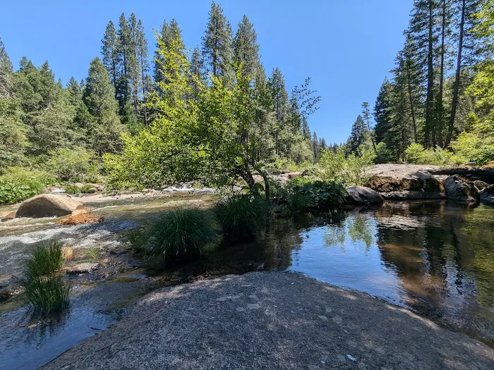 Sand Flat Campground Picture 4