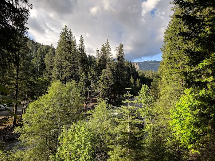 Sand Flat Campground Picture 10