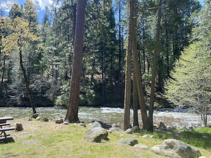 Sand Flat Campground Picture 5