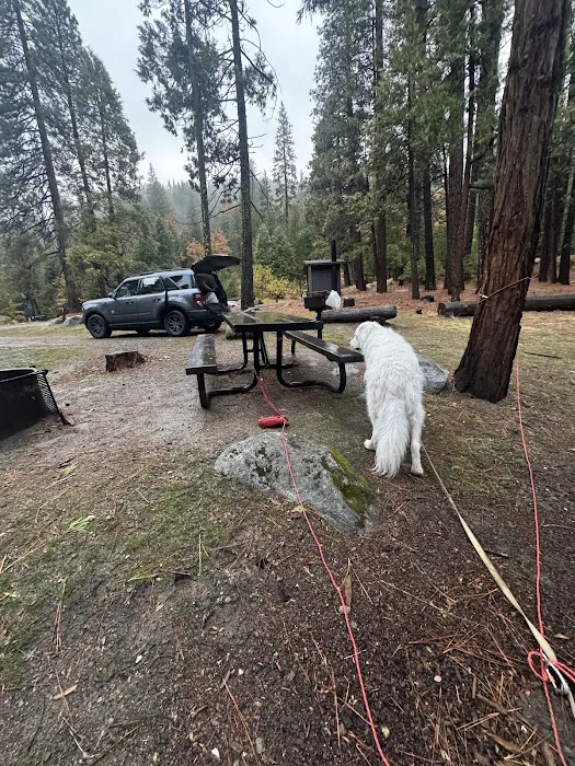 Sand Flat Campground Picture 9